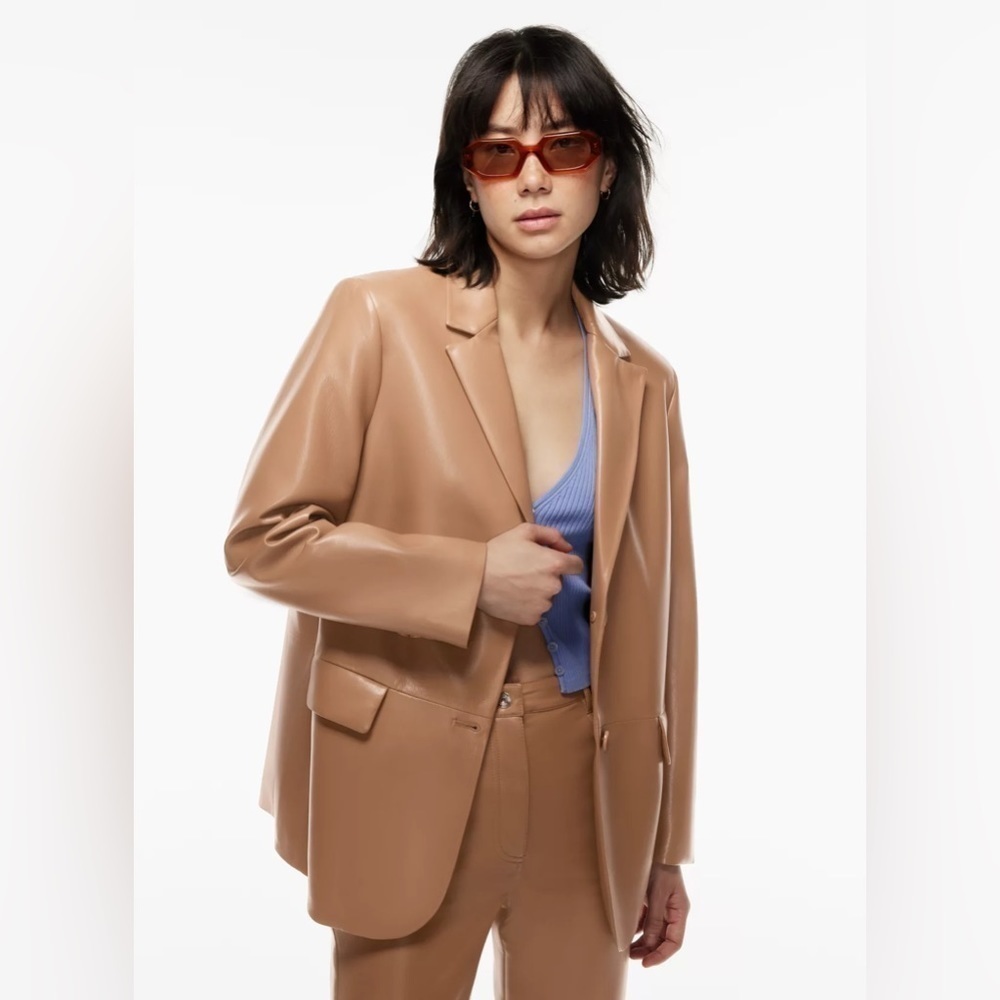 Aritzia Wilfred Memories Blazer